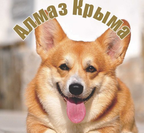 Вернуться на главную